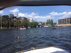 IMG_9973